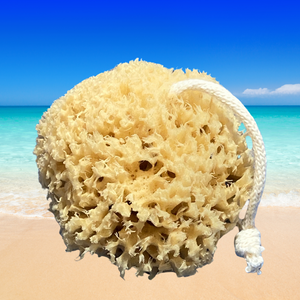 EarthRx® Organic Sea Sponge