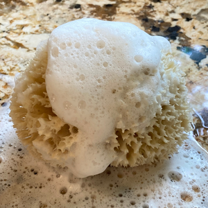 EarthRx® Organic Sea Sponge